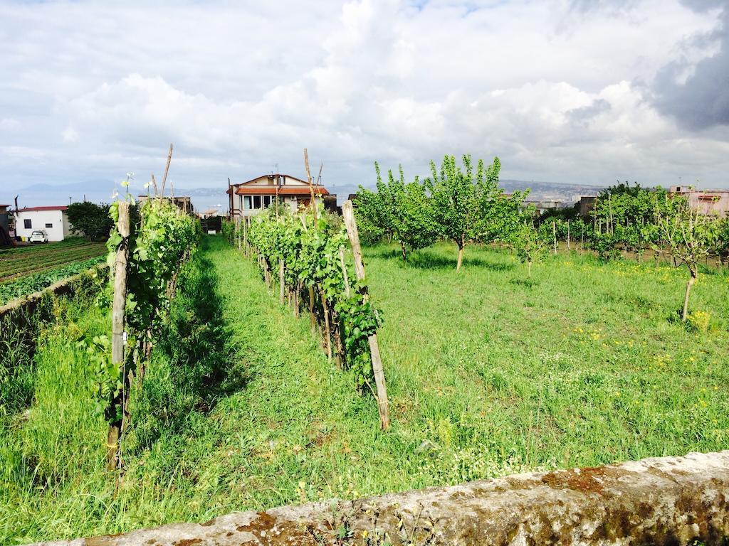 B&B Villa Nunzia Ercolano Luaran gambar